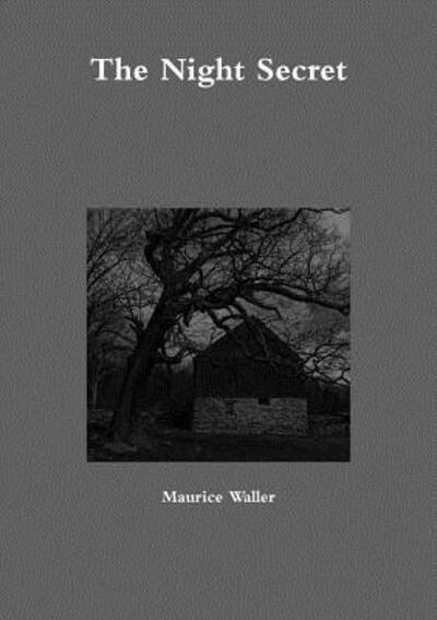 Cover for Maurice Waller · The Night Secret (Paperback Book) (2016)