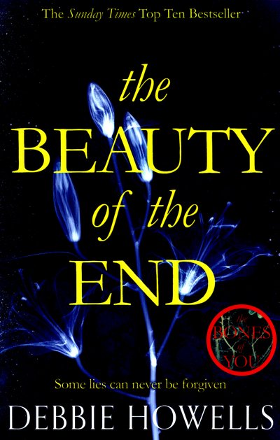 Cover for Debbie Howells · The Beauty of the End (Pocketbok) [Main Market Ed. edition] (2016)