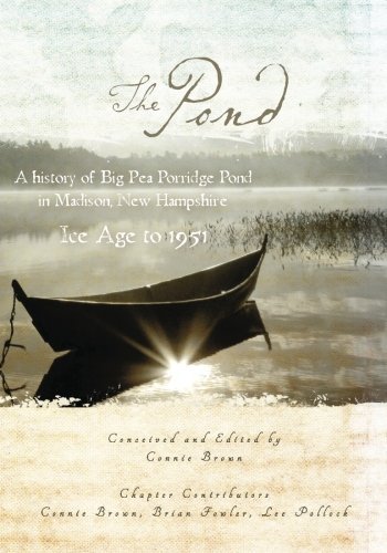 The Pond - Lee Pollock - Livros - CreateSpace Independent Publishing Platf - 9781466385139 - 16 de fevereiro de 2012