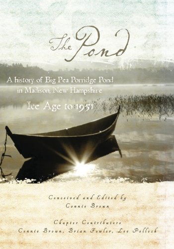 Lee Pollock · The Pond (Paperback Bog) (2012)