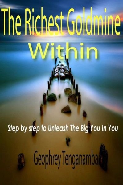 Cover for Geophrey Tenganamba · The Richest Goldmine Within: a Step by Step to Unleash the Big You in You (Paperback Book) (2013)