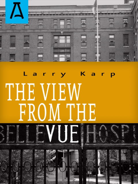 Cover for Larry Karp · The View from the Vue (Paperback Book) (2016)