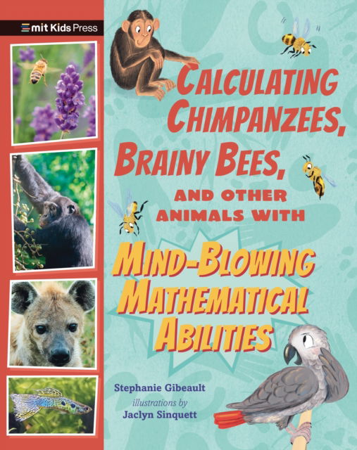 Cover for Stephanie Gibeault · Calculating Chimpanzees, Brainy Bees, and Other Animals with Mind-Blowing Mathematical Abilities - MIT Kids Press (Paperback Book) (2024)