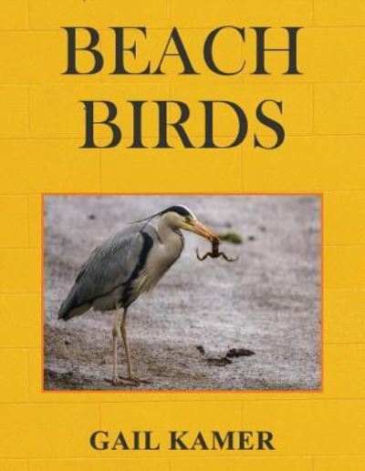 Cover for Gail Kamer · Beach Birds (Paperback Book) (2016)