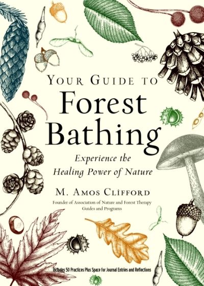 Cover for Clifford, M. Amos (M. Amos Clifford) · Your Guide to Forest Bathing (Expanded Edition): Experience the Healing Power of Nature Includes 50 Practices Plus Space for Journal Entries and Reflections (Paperback Book) (2021)