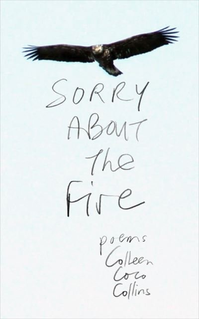 Sorry About the Fire - Colleen Coco Collins - Books - Biblioasis - 9781771966139 - June 6, 2024