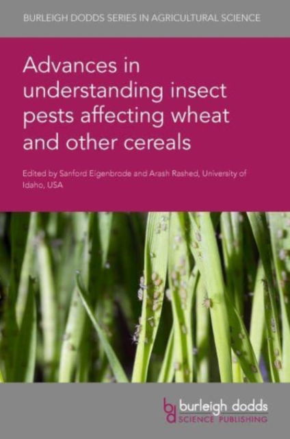 Cover for Rashed, Dr Arash (Virginia Tech) · Advances in Understanding Insect Pests Affecting Wheat and Other Cereals - Burleigh Dodds Series in Agricultural Science (Hardcover Book) (2023)