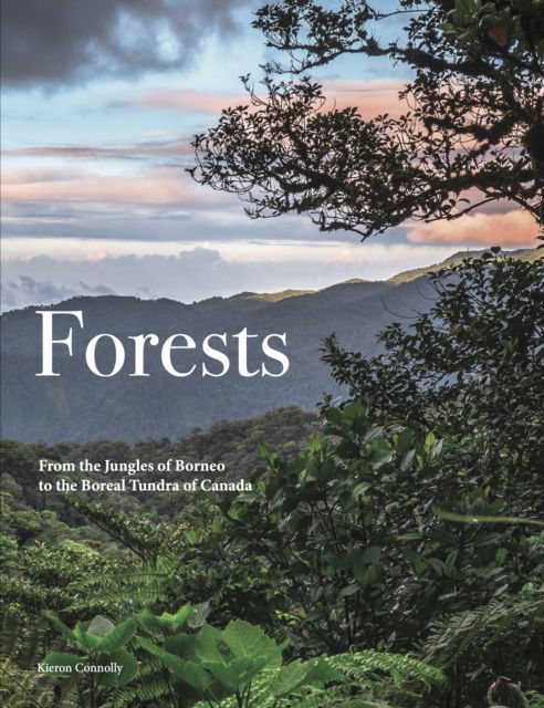 Cover for Kieron Connolly · Forests - Travel (Hardcover Book) (2025)