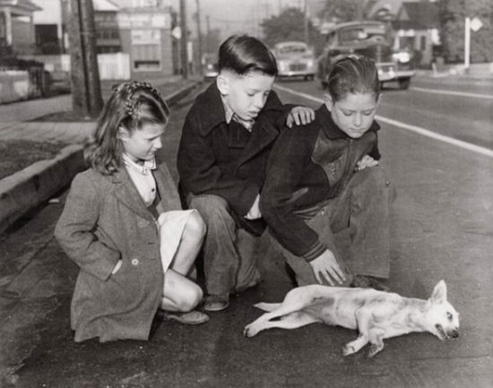 Cover for Diane Keaton · Local News: Tabloid Pictures from the Los Angeles Herald Express 1928-1959 (Inbunden Bok) (1999)