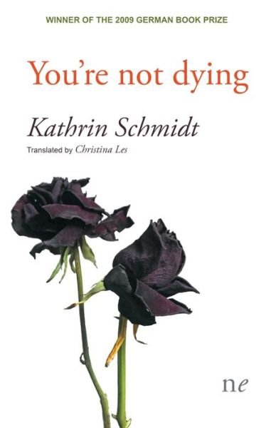 Cover for Kathrin Schmidt · You're not dying (Paperback Book) (2021)