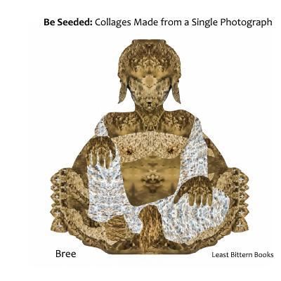 Cover for Bree · Be Seeded (Taschenbuch) (2017)