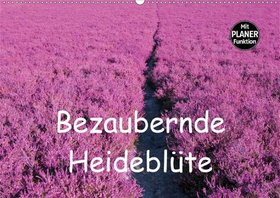 Cover for Valentino · Bezaubernde Heideblüte (Wandk (Bog)