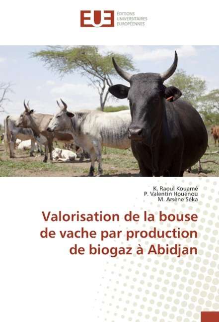 Cover for Kouamé · Valorisation de la bouse de vach (Book)