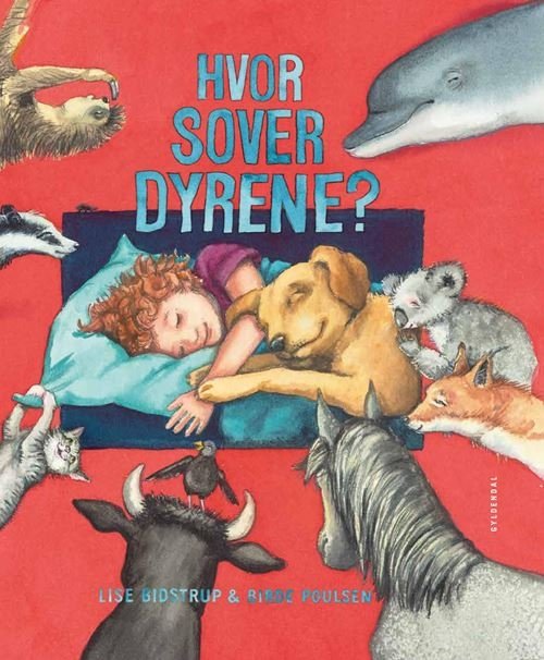 Hvor sover dyrene? - Lise Bidstrup - Books - Gyldendal - 9788702307139 - January 22, 2021