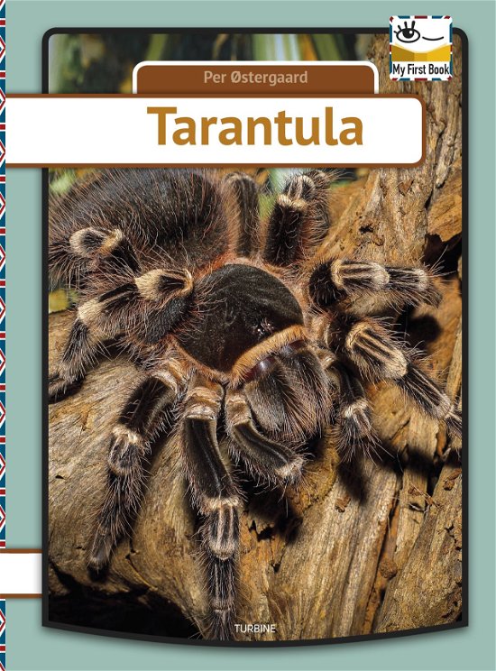 Cover for Per Østergaard · My first book: Tarantula (Hardcover Book) [1st edition] (2019)