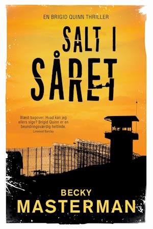 #3 Brigid Quinn-serien: Salt i såret - Becky Masterman - Bøger - Jentas A/S - 9788742600139 - 13. marts 2018