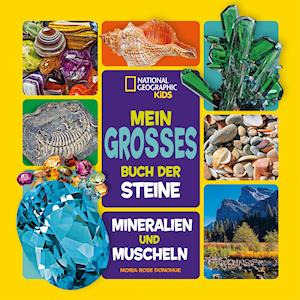 Cover for Moira Rose Donohue · Mein großes Buch der Steine, Mineralien und Muscheln (Hardcover Book) (2022)