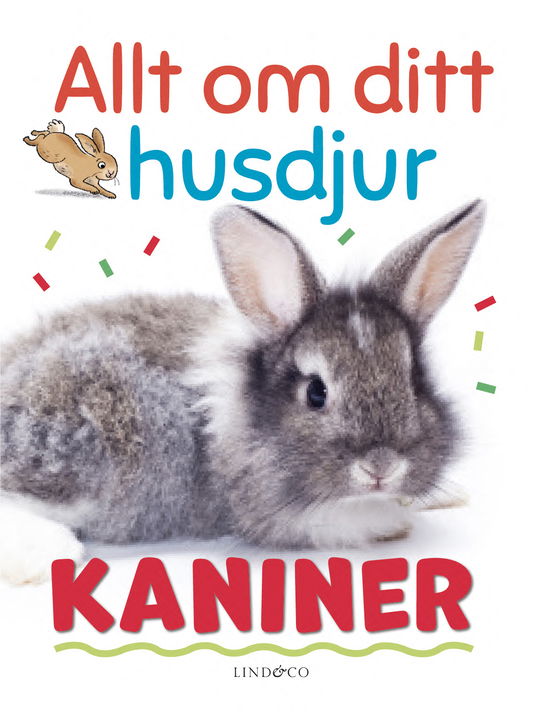 Cover for Izzi Howell · Allt om ditt husdjur : Kaniner (Hardcover Book) (2024)