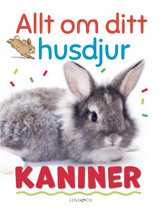 Cover for Izzi Howell · Allt om ditt husdjur. Kaniner (Indbundet Bog) (2024)