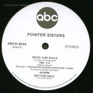 Cover for Pointer Sisters · Don't It Make You Crazy (12&quot;) (2010)