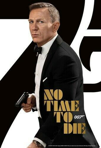 Cover for No Time to Die (DVD) (2021)