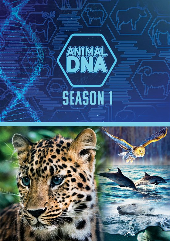 Cover for Feature Film · Animal Dna: Season One (DVD) (2024)