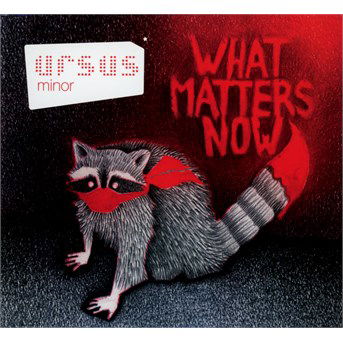 Cover for Ursus Minor · What Matters Now (CD) (2016)