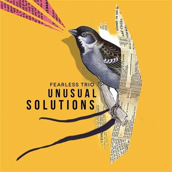 Unusual Solutions - Fearless Trio - Muziek - FLOATING - 4260427420140 - 29 maart 2019