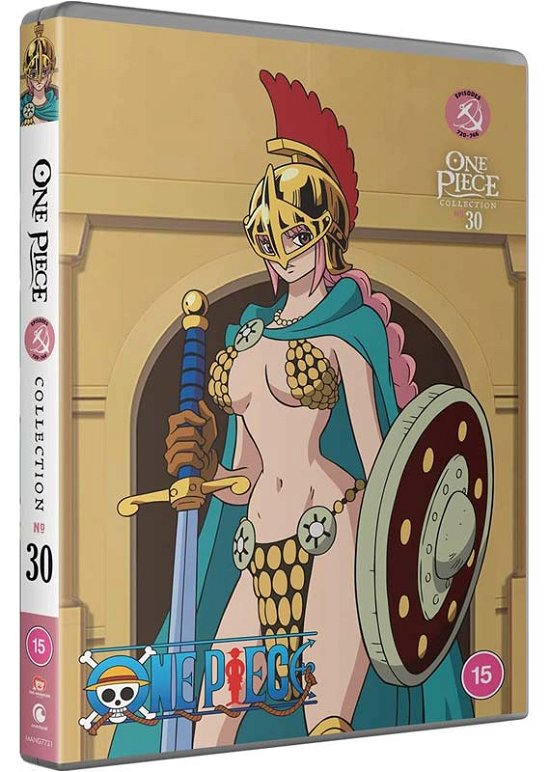 Cover for Anime · One Piece: Collection 30 (DVD) (2023)