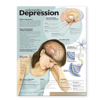 Cover for Acc · Understanding Depression Anatomical Chart (Landkarten) (2007)