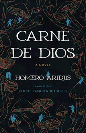 Cover for Homero Aridjis · Carne De Dios: A Novel - Camino Del Sol (Pocketbok) (2025)