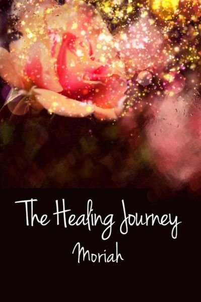 Cover for Sue Kidd Shipe Ph D · The Healing Journey (Paperback Bog) (2019)