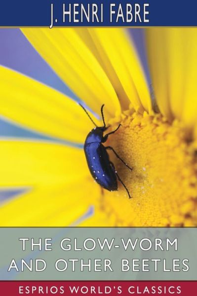 Cover for J Henri Fabre · The Glow-Worm and Other Beetles (Paperback Book) (2024)