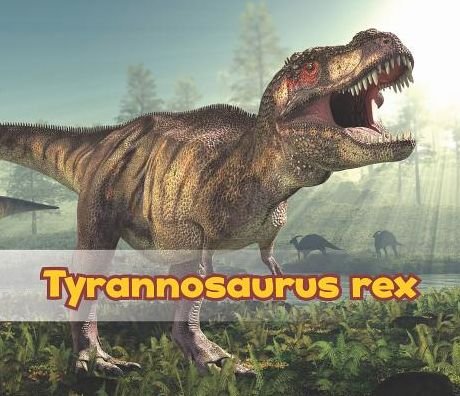 Cover for Daniel Nunn · Tyrannosaurus Rex (All About Dinosaurs) (Paperback Book) (2014)