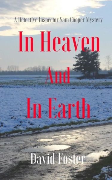 Cover for David Foster · In Heaven and in Earth (Pocketbok) (2015)
