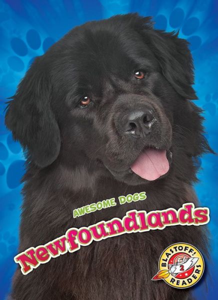 Cover for Nathan Sommer · Newfoundlands - Awesome Dogs (Hardcover Book) (2020)