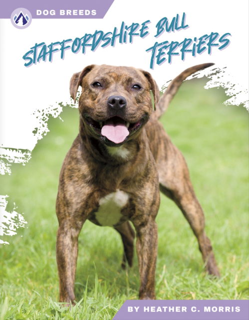Cover for Heather C. Morris · Staffordshire Bull Terriers - Dog Breeds (Hardcover bog) (2024)