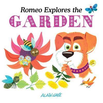 Romeo Explores the Garden - Let's Explore - Alain Gree - Livros - Button Books - 9781787080140 - 7 de setembro de 2018