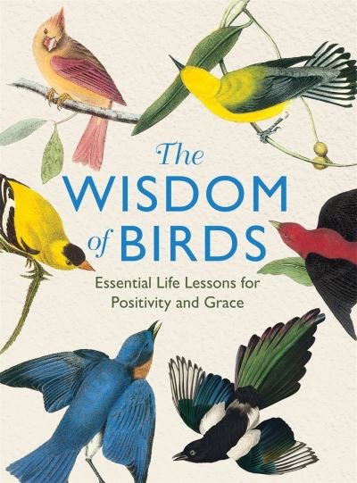 Cover for Alison Davies · The Wisdom of Birds: Essential Life Lessons for Positivity and Grace (Hardcover Book) (2024)