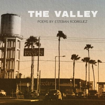 Cover for Esteban Rodriguez · The Valley (Paperback Book) (2021)