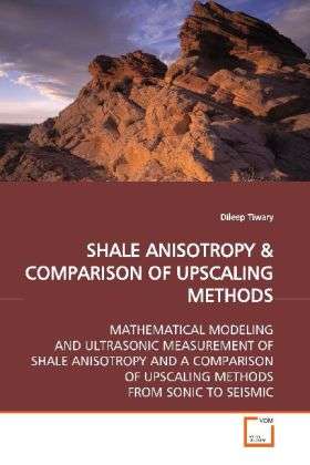 Cover for Tiwary · Shale Anisotropy (Bog)