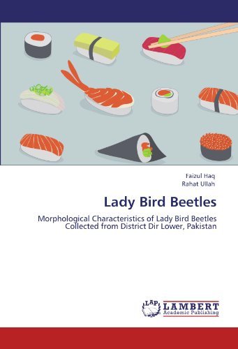 Cover for Rahat Ullah · Lady Bird Beetles: Morphological Characteristics of Lady Bird Beetles Collected from District Dir Lower, Pakistan (Paperback Book) (2011)