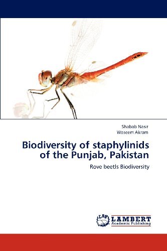 Cover for Waseem Akram · Biodiversity of Staphylinids of the Punjab, Pakistan: Rove Beetls Biodiversity (Paperback Book) (2012)