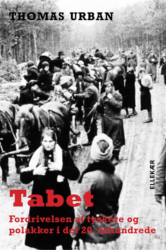 Cover for Thomas Urban · Tabet (Hæftet bog) [1. udgave] (2012)