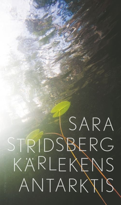Cover for Sara Stridsberg · Kärlekens Antarktis (Inbunden Bok) (2018)