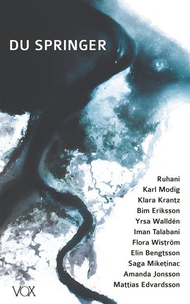Cover for Ruhani Islam · Du springer (Book) (2019)