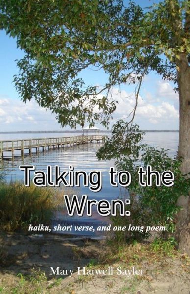 Cover for Mary Harwell Sayler · Talking to the Wren (Paperback Book) (2020)