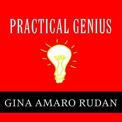 Cover for Gina Amaro Rudan · Practical Genius (CD) (2011)