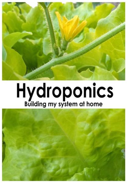 Cover for Antonio Calle · Hydroponics (Paperback Book) (2020)