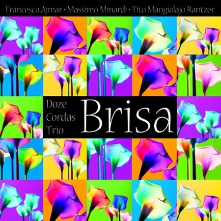 Cover for Doze Cordas Trio · Brisa (CD) (2007)